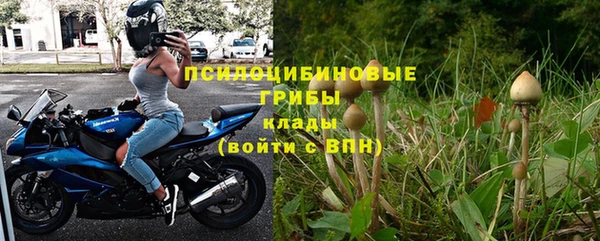 герыч Дмитриев