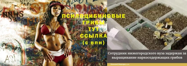 герыч Дмитриев