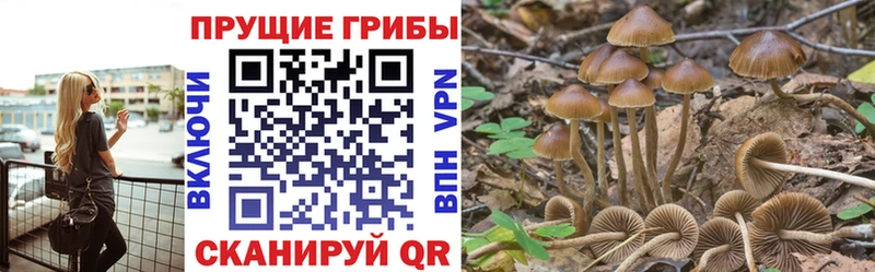 Галлюциногенные грибы MAGIC MUSHROOMS  Купить  Николаевск 